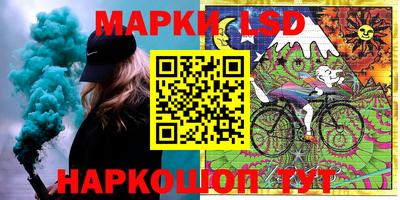 дмт Донской