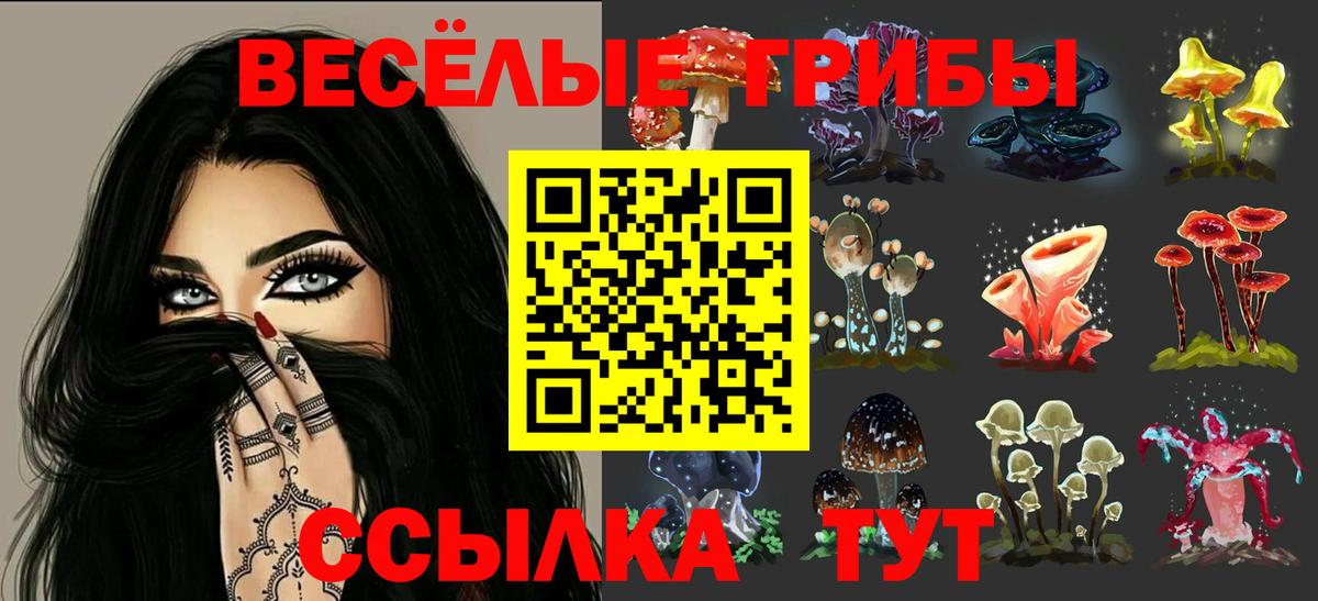 Краснознаменск  Галлюциногенные грибы мицелий  Вход с VPN  Галлюциногенные грибы Psilocybe 